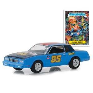 Greenlight Pile Up Kyle 1983 Monte Carlo Garbage Pail Kids 1/64 XP[ | _CLXgJ[ _CLXg Ԃ̂   RNV ~j`A _CJXg fJ[ ~jJ[ A Mt