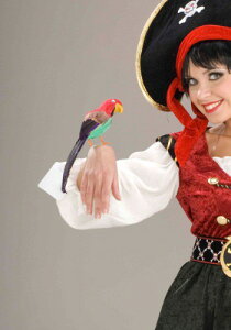 Parrot Wrist Bracelet | RXv ߑ   낢 Cxg p[eB \ fR[V { ANZT[ Y fB[X q  킢 Mtg v[g