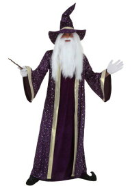 大人用 Purple Wizard コスチューム メンズ コスプレ 衣装 男性 仮装 男性用 イベント パーティ 学芸会 ギフト プレゼント