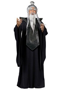 Sensei Master RX`[ Y RXv ߑ j  jp Cxg p[eB w| Mtg v[g