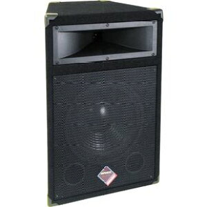 �i�f�B Nady PTS1015 2-Way 15 Speaker ���C�u�T�E���h �X�s�[�J�[