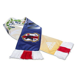 2014N TbJ[ uW FIFA ItBVCZX{\XJ[t@ObY TbJ[ {\