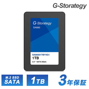 SSD 1TB  M.2 3D NAND  ǂݎ562MB/s 497MB/s ϋv 2.5C` fXNgbvPC m[gPC 񂽂t 3Nԕۏ Vi  G-Storategy SA66001TBY4G1