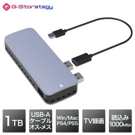 G-Storategy SSD 外付け 1TB 小型 ポータブル PS5 PS4対応 動作確認済 コンパクト 軽量 USB3.2Gen2 USB TypeA FFF NV33501EX-GY