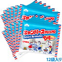 【送料無料】キャンパーズマシュマロ 1ケース（12袋）【ビッグマシュマロ】　BBQ・焼きマシュマロにもピッタリなメガマシュマロ 安心の国産 そのままかじっても楽しい