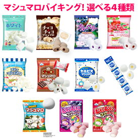 【送料無料】マシュマロバイキング〜選べるバラエティセット★【同梱不可】　ホワイトマシュマロ、チョコマシュマロ、むにむにだよ、カルピスなど