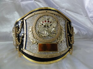 V}X|[c@ړI`sIxg S-DX-PRO-120