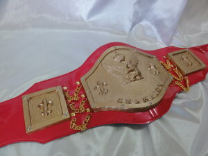 V}X|[c ړI`sIxg LSTD-1047