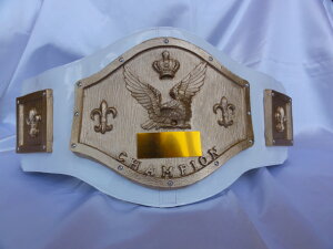 V}X|[c ړI`sIxg LSTD-1071