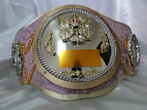 V}X|[c@ړI`sIxg S-DX-PRO 107