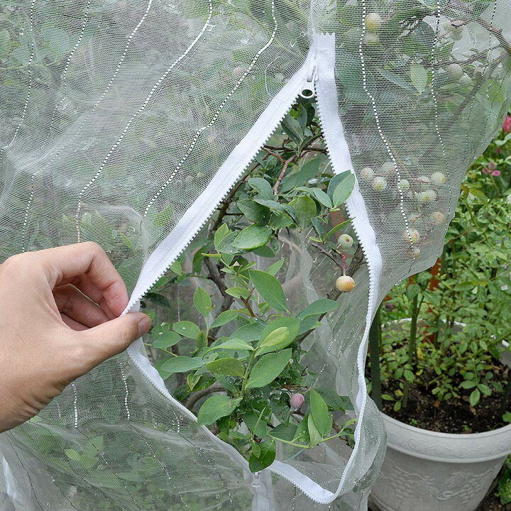 楽天市場 実り野菜の虫よけカバー ファスナー付 プランター 用 周囲２０５ｃｍ 高さ１７５ｃｍ 網目約１ｍｍ目 白メッシュ 銀糸入り 透光率９０ 虫よけネット 農園芸用資材 マルソルオンラインショップ