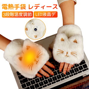 nhEH[}[ dM fB[X h dMO[u 2000mAhdr 3iKx   q[^[ }M  ۉ _炩 ő3ԘAғ h΍ g LED