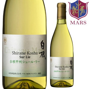 C  bB V[E[ 720ml 12 [ 2023N ] / {V }X RCi[ {C R  h bB