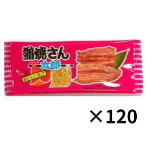 ٓ Ă񑾘Yi30j× 4܃Zbgiv120j