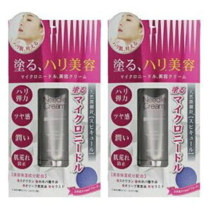 �O�a�ʏ� �j�[�h���N���[�� �G�N�X�v���X 25g 2�Z�b�g �n�����e �h�� �}�C�N���j�[�h��