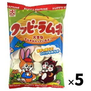 �N�b�s�[�����l64g×5�� �J�N�_�C ���� �傫�������l