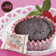 【グルテンフリー】お米deガトーショコラ 40個入｜冷凍スイーツ・個包装・小麦不使用・業務用にも｜日東…