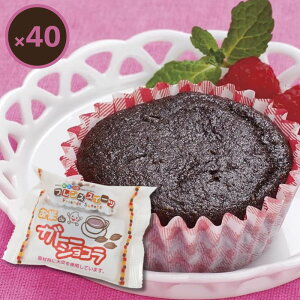 yOet[zdeKg[VR 40bⓀXC[cEEsgpEƖpɂbxXg