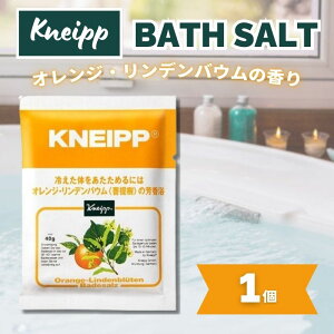 NiCv oX\g IWEfoE()̍ 40g 1