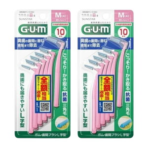 y2v20{zTX^[ GUM K ԃuV L^ MTCY 10{ ^Cv