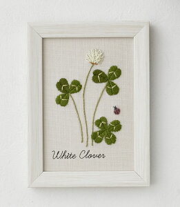 ؘaq12̐A蒟@hイLbgVcNT@No.542004