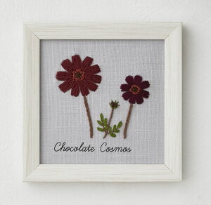 ؘaq12̐A蒟@hイLbg`R[gRXX@No.542011