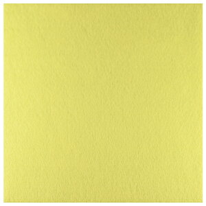 tFg@V[^Cvxr[CG[134@18cm×18cmKT1002KtFg^nhCh^^|^ytFgz