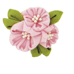 ܂ݍ׍HLbg@IpXTZ-13B@̃u[`