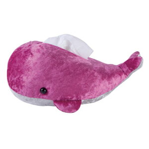 pb`[NLbg|PbgeBbVP[X킢كIpX@PA-765@NW