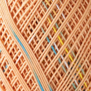 [XG~[Of@xr[25gʊ@110mIpX@B8