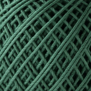 [XG~[Of@nEX25gʊ@74mIpX@H12