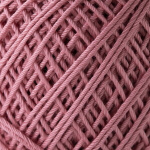 [XG~[Of@nEX25gʊ@74mIpX@H10