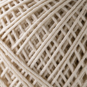 [XG~[Of@nEX25gʊ@74mIpX@H3