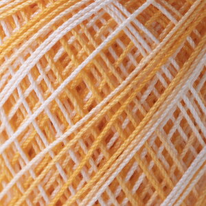 [X@IpX[40ԁq{JVr10gʊ@89m@F17