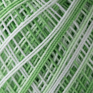 [X@IpX[40ԁq{JVr10gʊ@89m@F68