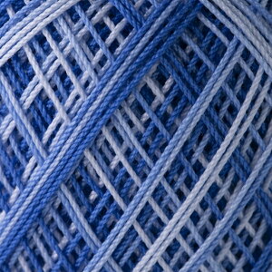 [X@IpX[40ԁq{JVr10gʊ@89m@F11