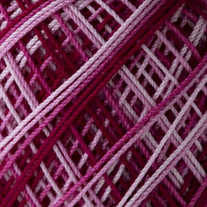 [X@IpX[40ԁq{JVr10gʊ@89m@F12