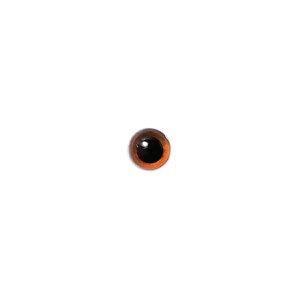 NX^AC CguE 4.5mm 2@n}iJ H220-104-20@@@@@@@݂EYE/ ҂݂/ ڋ /| /Aj}AC /݂݃AC