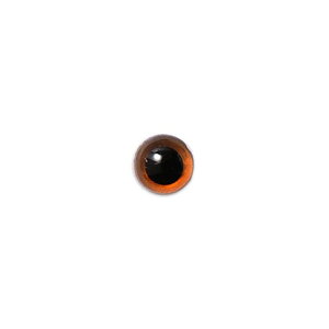 NX^AC NX^uE 6mm 2@n}iJ H220-106-17@݂EYE/ ҂݂/ ڋ /| /Aj}AC /݂݃AC