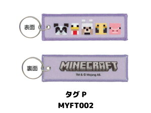 }CNtgtCg^O }CN MINECRAFT