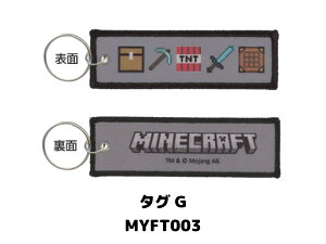 }CNtgtCg^O }CN MINECRAFT