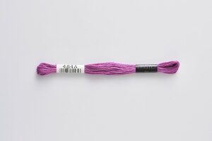 25Ԏhイ col.484ayVAzCOSMOhイ/RX/25Ԏ/lecien//