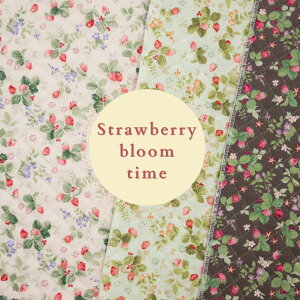 Lg  w Strawberry bloom time xV[eBO LeBOy30cmȏ10cmPʁz100 106cm YUWA L֏X n  C`S  ԕ i` XC[c ̎q w bX