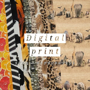 V[`O fW^vg ny30cmȏ10cmPʁzAj} t[c 100 110cm { /A/CNWFbg/Tt@p[N/Aj}{[_[/V}E}/ւ/j/g/q