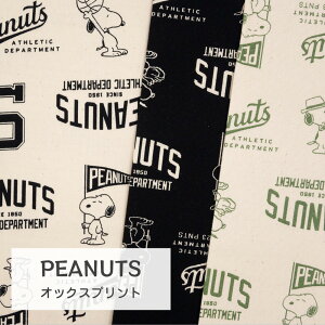 Xk[s[ AX`bN IbNX n 2023SS LN^[ vgy30cmȏ10cmPʁzn 109cm@100 { PEANUTS s[ibc SNOOPY X|[c Or[ w bXobO S