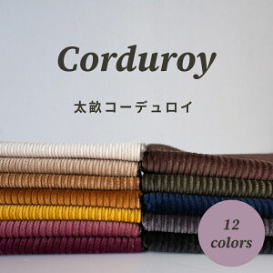 R[fC n n 6W R[fC R[ y30cmȏ10cmPʁzy80cm܂Ń[։zz@R[e