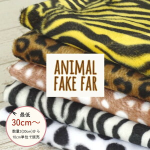 Aj} tFCNt@[y30cmȏ10cmPʁzy40cm܂Ń[։zx{Avg@|GXe100 150cm n z g or ܂ _VA Ip[h
