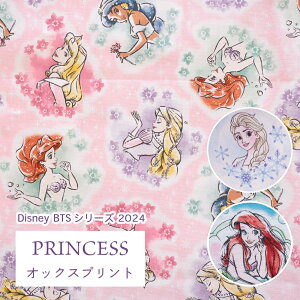 IbNX Disney 2024 BTSV[Y w vZX xy30cmȏ10cmPʁzy[ւ1.5m܂őΉz110cm IbNX w { pps