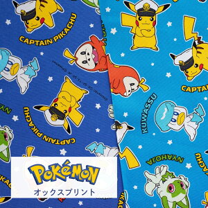 |P n IbNX 2024NVwLvexy30cmȏ10cmPʁzy1.5m܂Ń[։z110cm 100 { |PbgX^[ LN^[ pokemon sJ`E jIn zQ[^ 