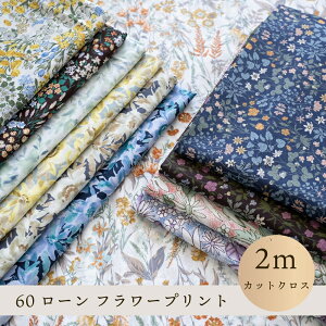 ԕ n 60[ t[vg w 108cm×2mJbgNXxy2܂Ń[։z100 108cm Rbg